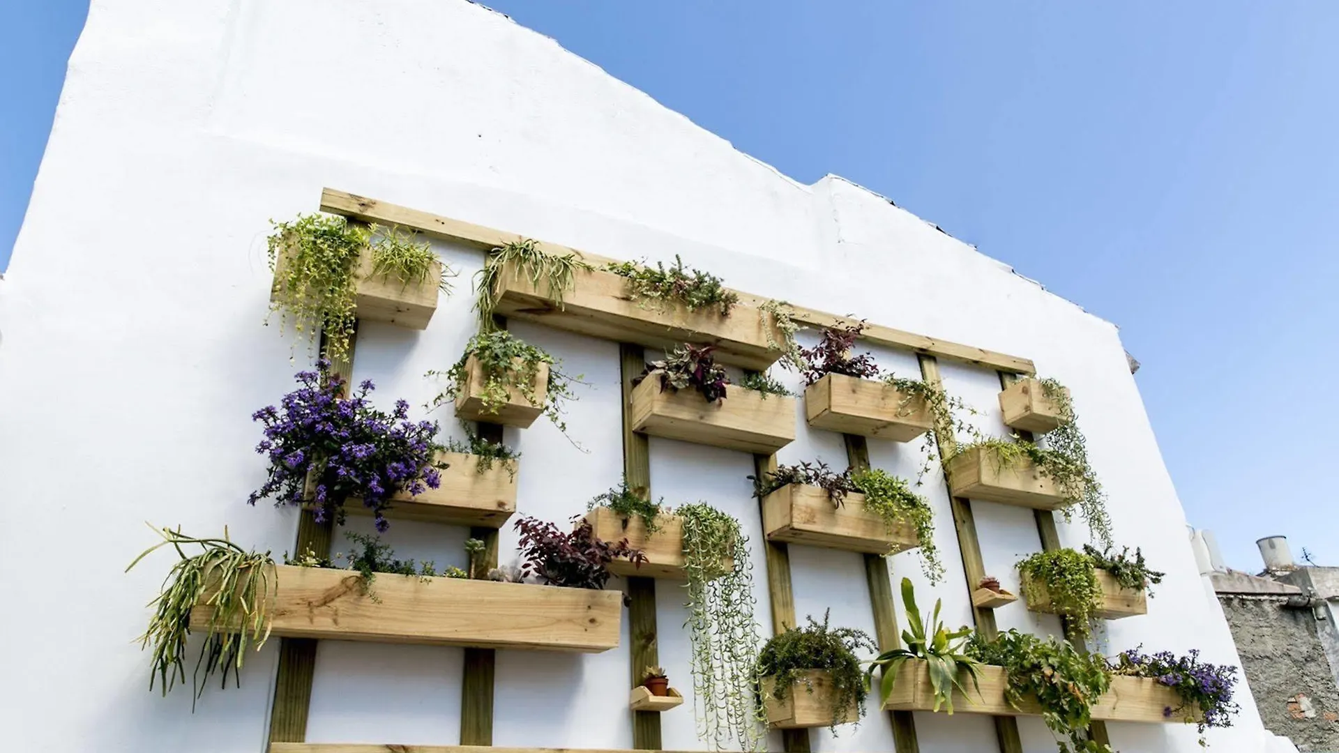 Hostel Chinitas Urban Rooms Malaga